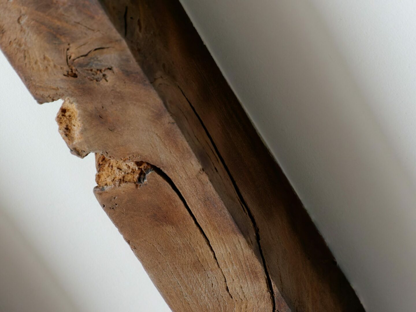 Poutre en bois, diagnostic termites état parasitaire